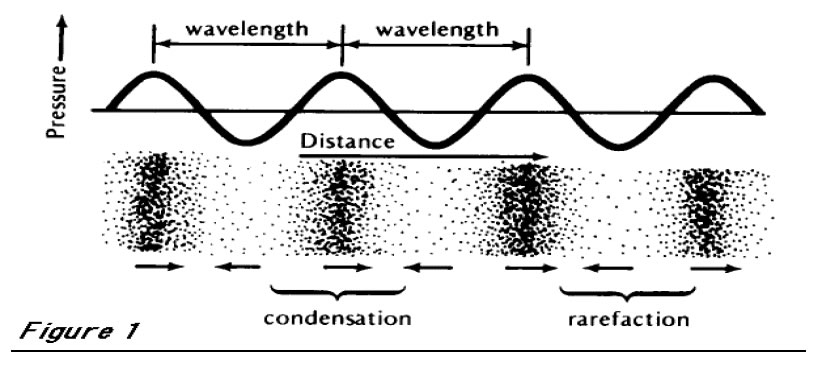 Frequency of sound wave